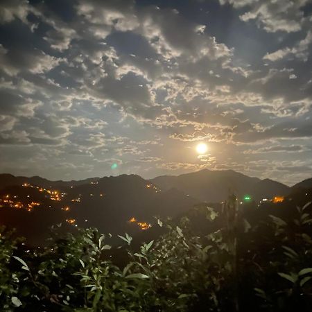 Afram Bungalov Çamlıhemşin エクステリア 写真