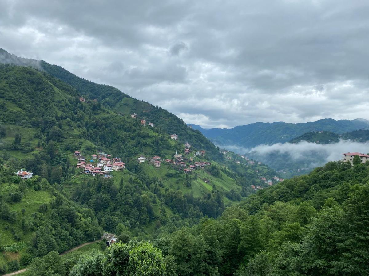 Afram Bungalov Çamlıhemşin エクステリア 写真